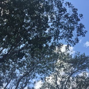 Meet your Posher, Andy